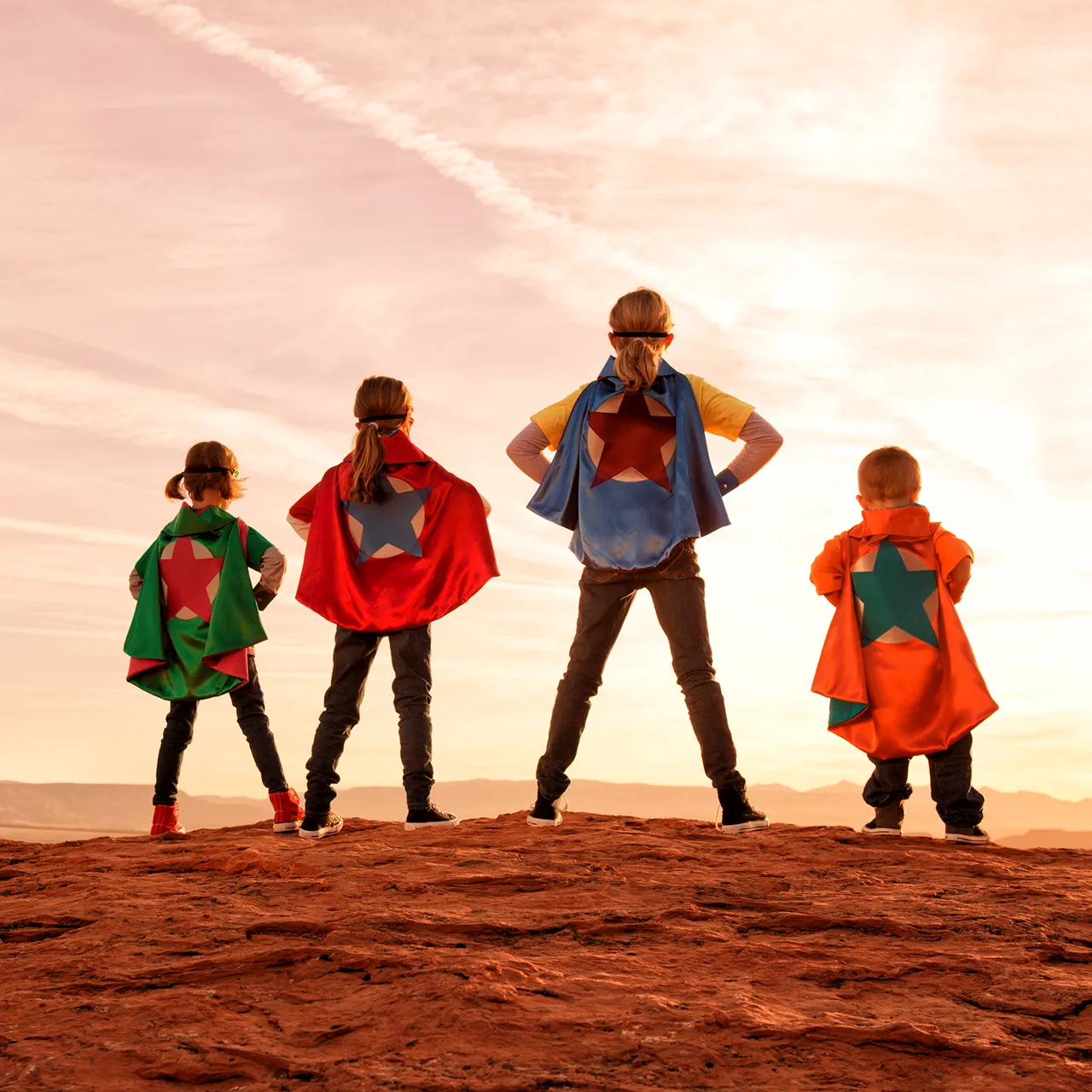 企業様のニーズ